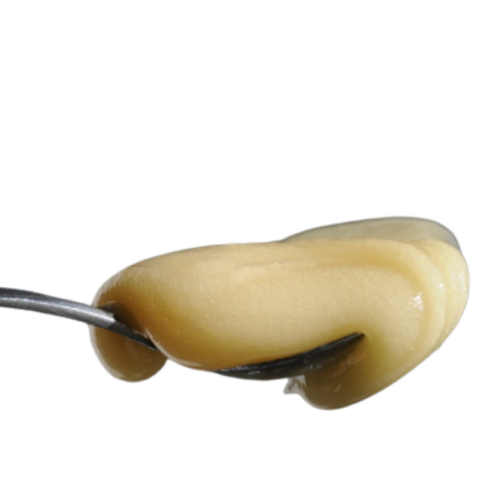 Spoonful of Whipped honey 